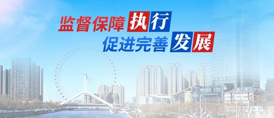 监督保障执行 促进完善发展